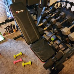 Weight Bench (Weights Not Included)