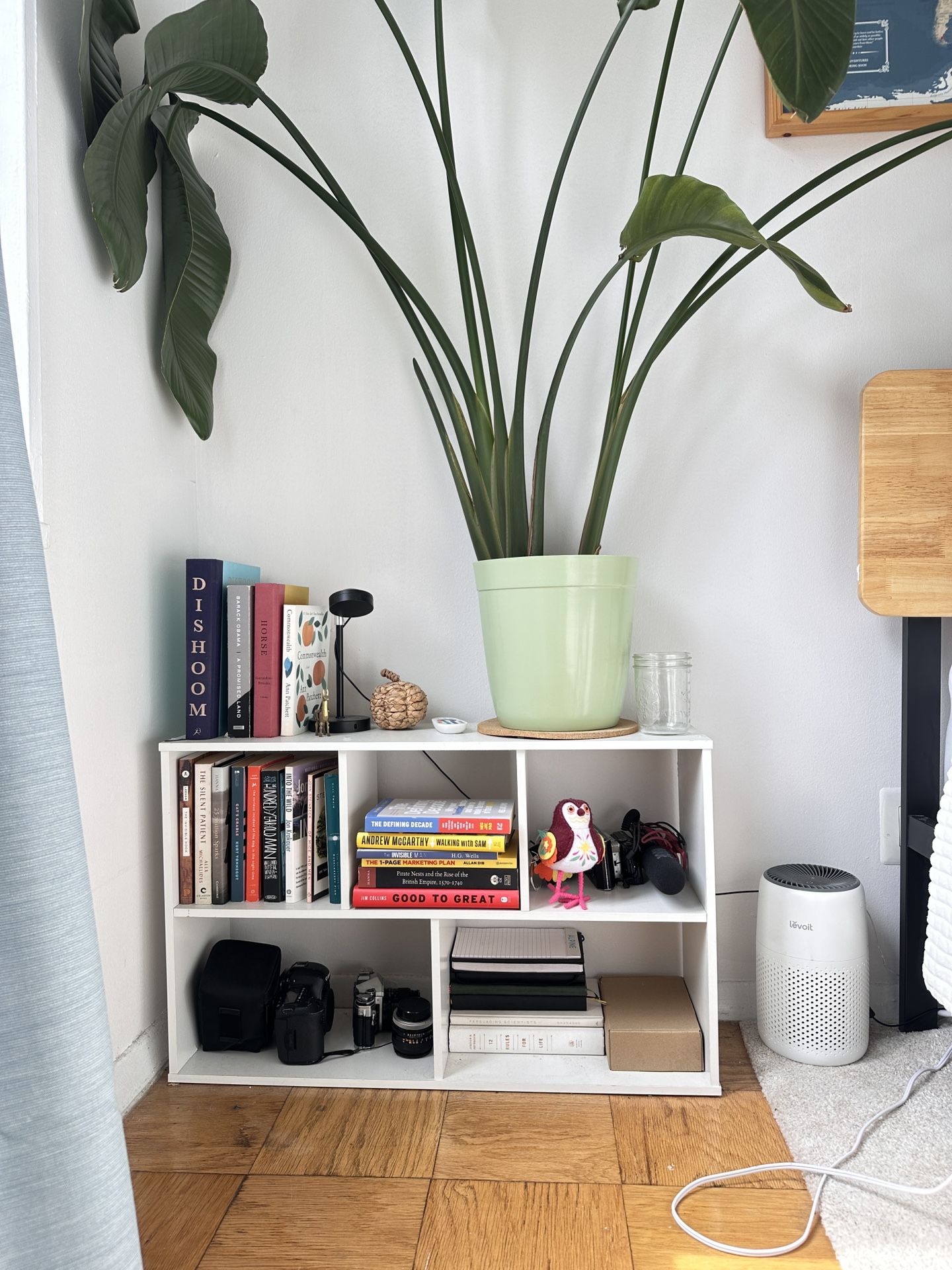 White Shelf Organizer 