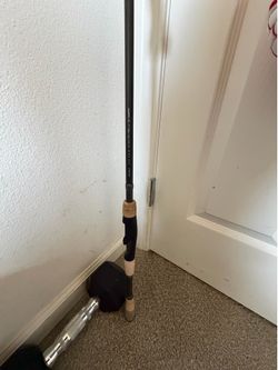 Spinning Rod