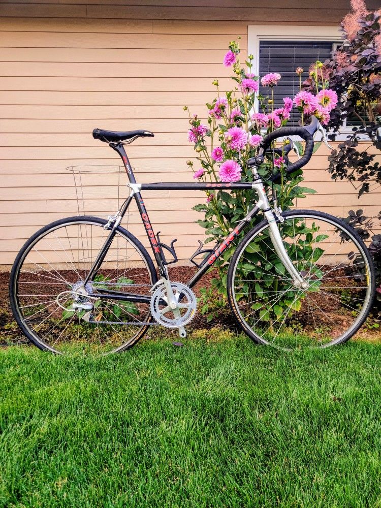 Giant Carbon Fiber Race Bike (Light and Fast)