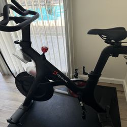 Peloton
