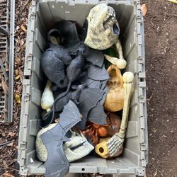 Halloween Decorations