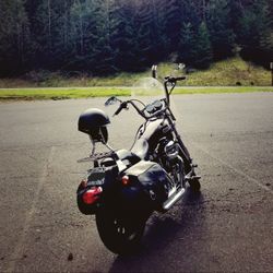 2007 Harley Davidson Sportster