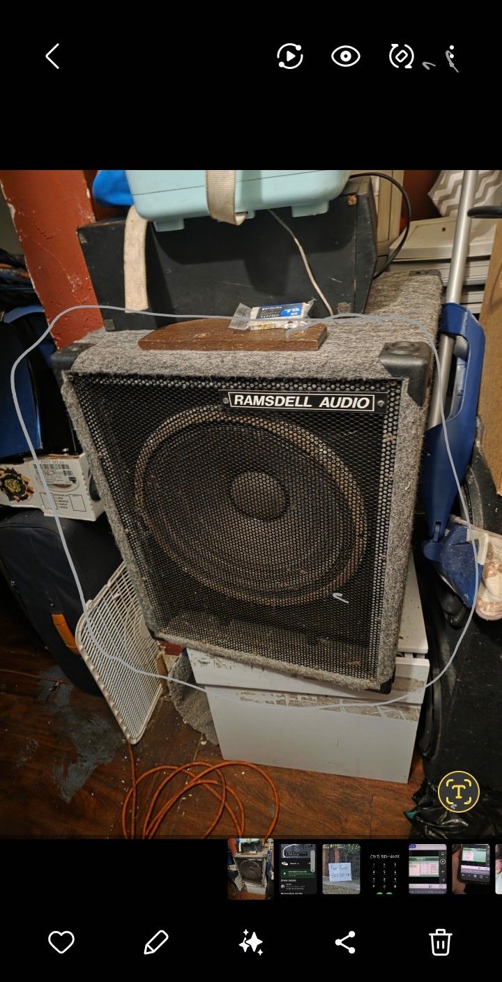Stage Speaker