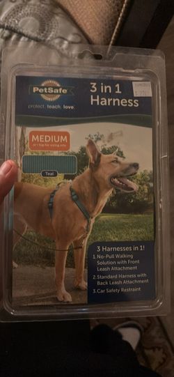 Dog leash