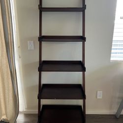 Ladder Shelf 