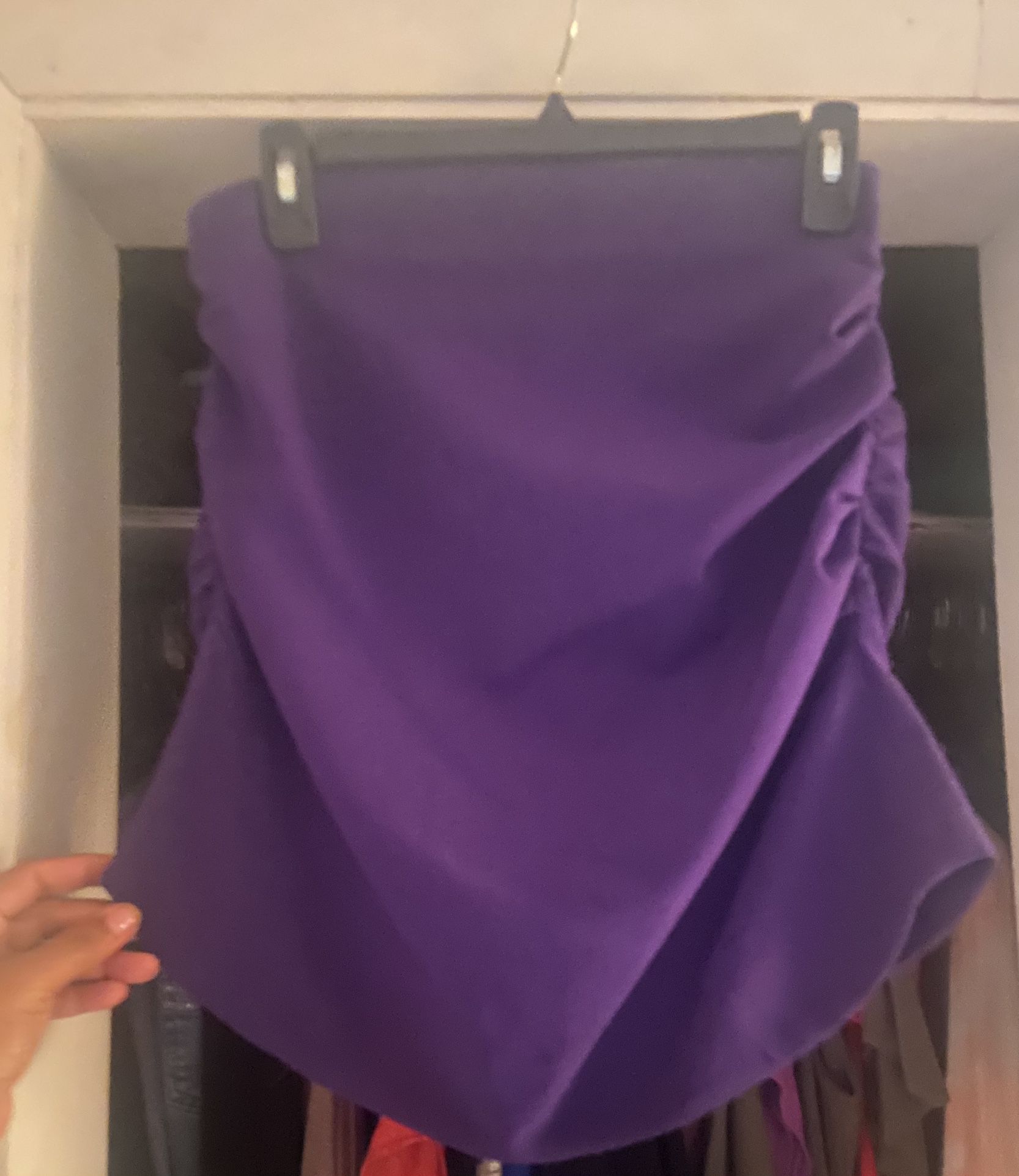 Unique Purple Zara Skirt
