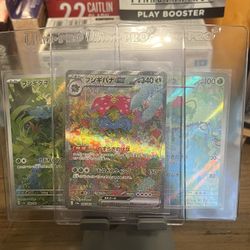 151 JP Venasaur + Bulba + Ivy