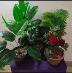 ** PRICE DROP ** Artificial Potted Plants Sealed in Polished Stone ($15 EACH) @ Lasting Creations