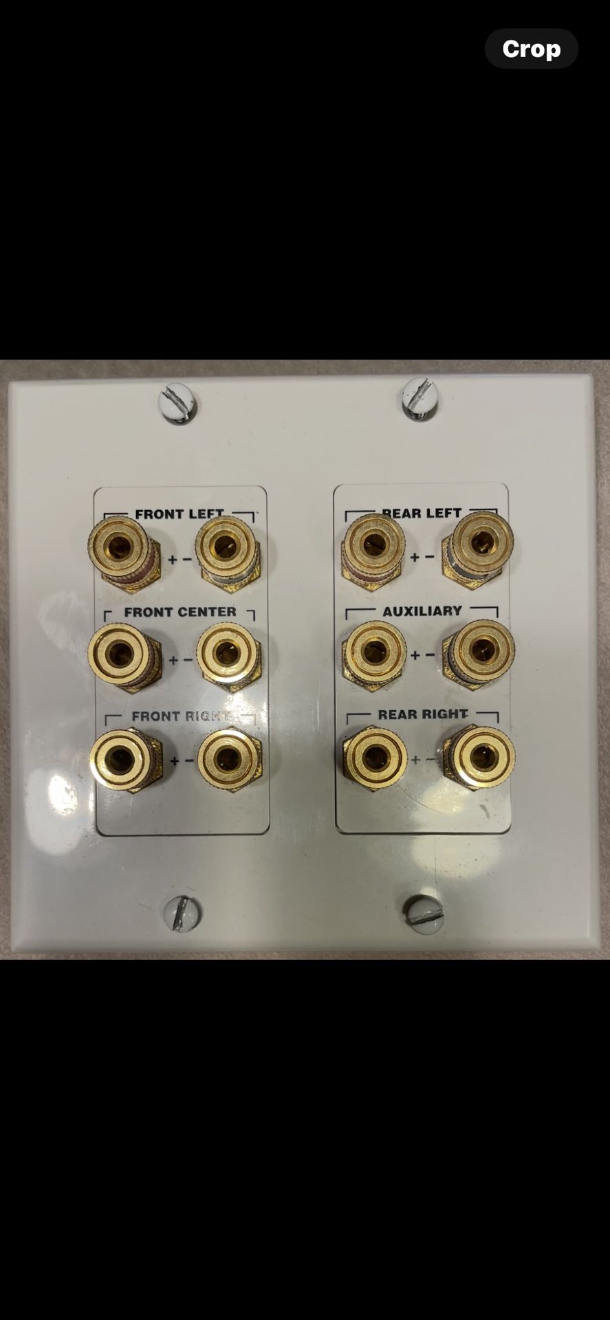 Wall Plate For Stereo Speakers