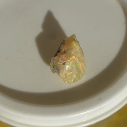 First You See And Then You Decide, Asking $$375