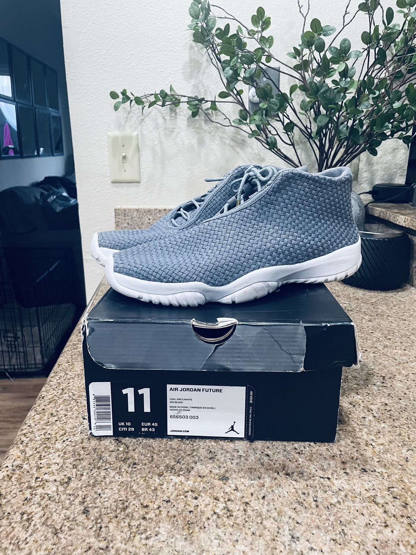 Jordan Future Cool Grey Size 11