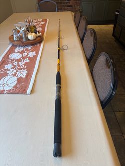 Ugly Stick Big Water Spinning Rod