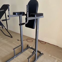 Leg Raise And Dip Chair