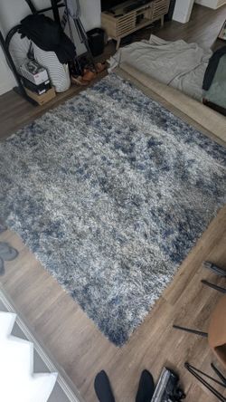 Large Area Shag Carpet Rug