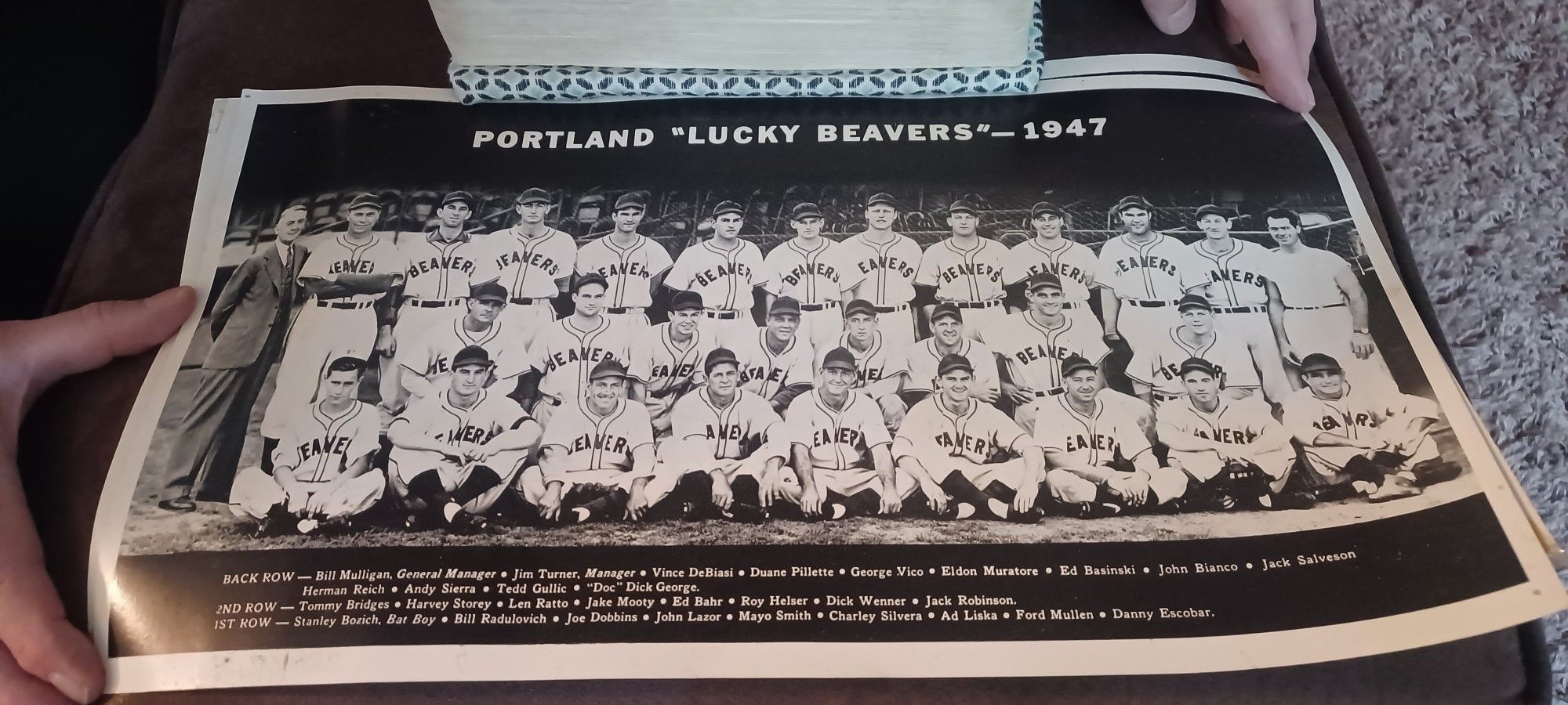 1947,1(contact info removed) & 1955 Portland Lucky Beavers Team Photo Vintage Minor League Baseball Original