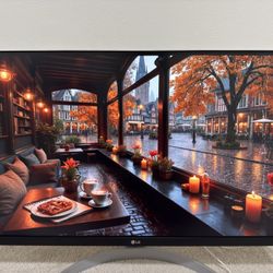 4k 27” LG 27UP600 Monitor