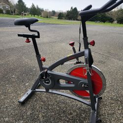Sunny Exercise Bike