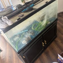 Fish Tank