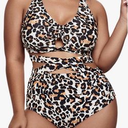 Leopard Print Plus Size Bikini 