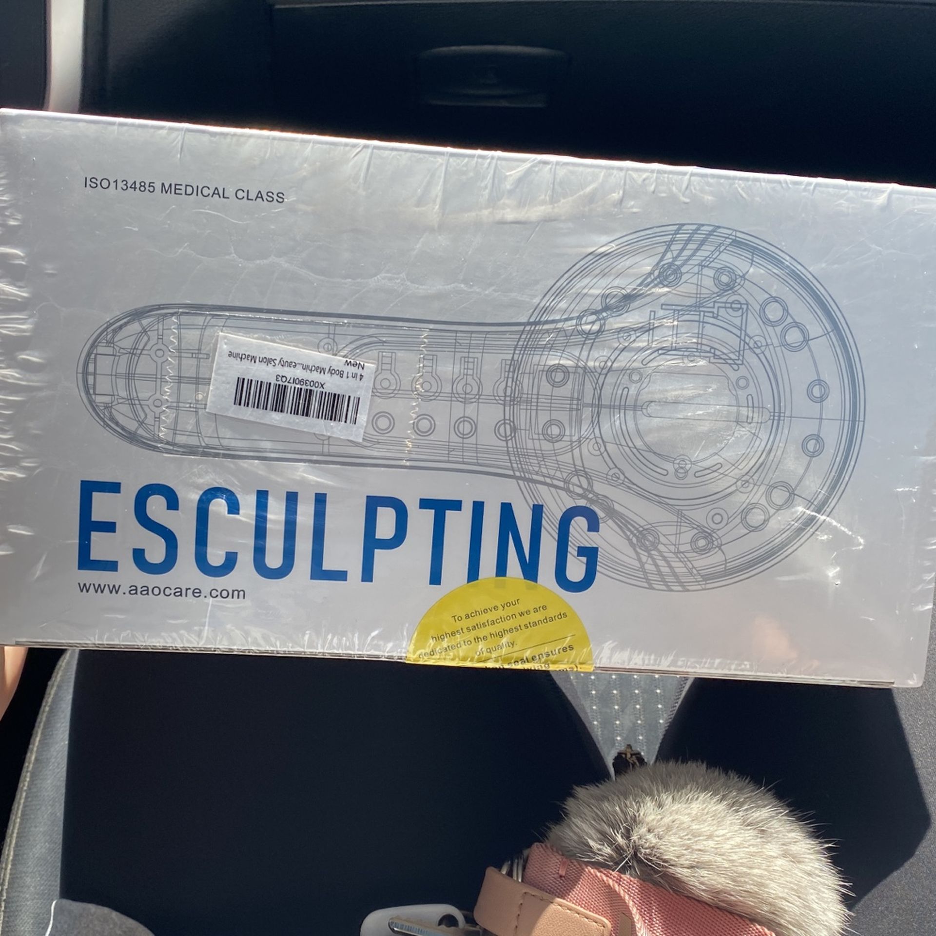 Esculpting