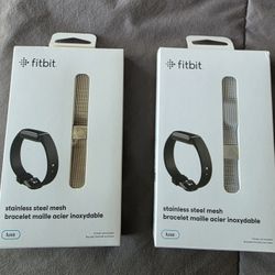 Fitbit Luxe Stainless Steel Mesh Accessory Band