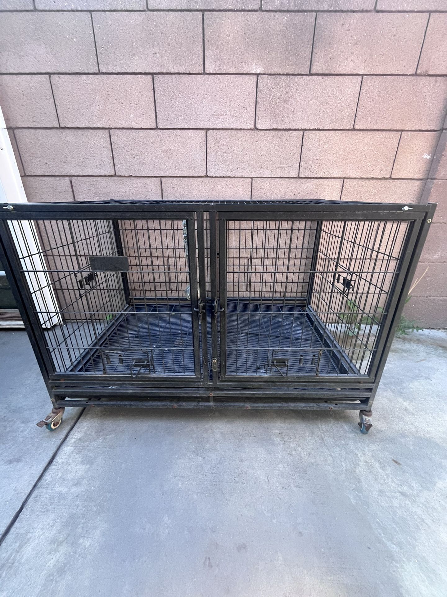 Dog Cage