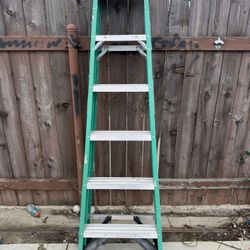Werner 6ft Ladder 
