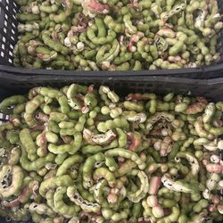 Guamuchiles Pinzanes 