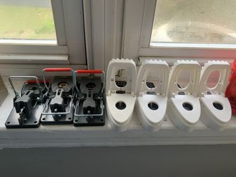 Tomcat, RatX, Steelwool & Great Stuff for Mice Traps