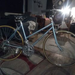 Nishki Rally 1980 Road Bike Never Been Road On 