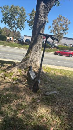 Electric scooter