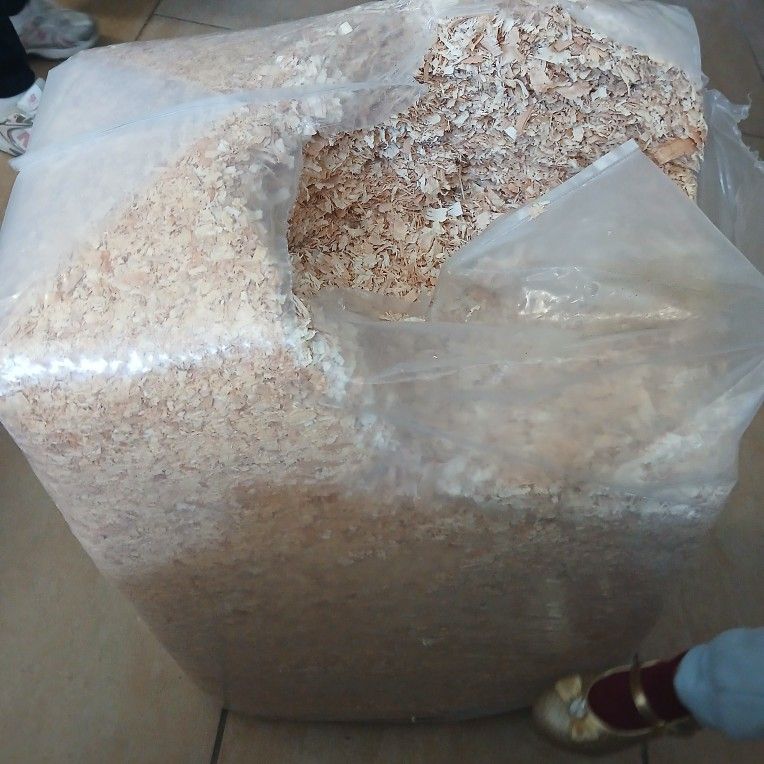 White Wood Shavings