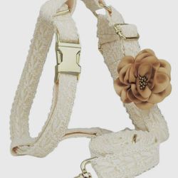 Dog Leash & Harness Wedding - Large