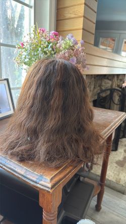 Human Hair Wig