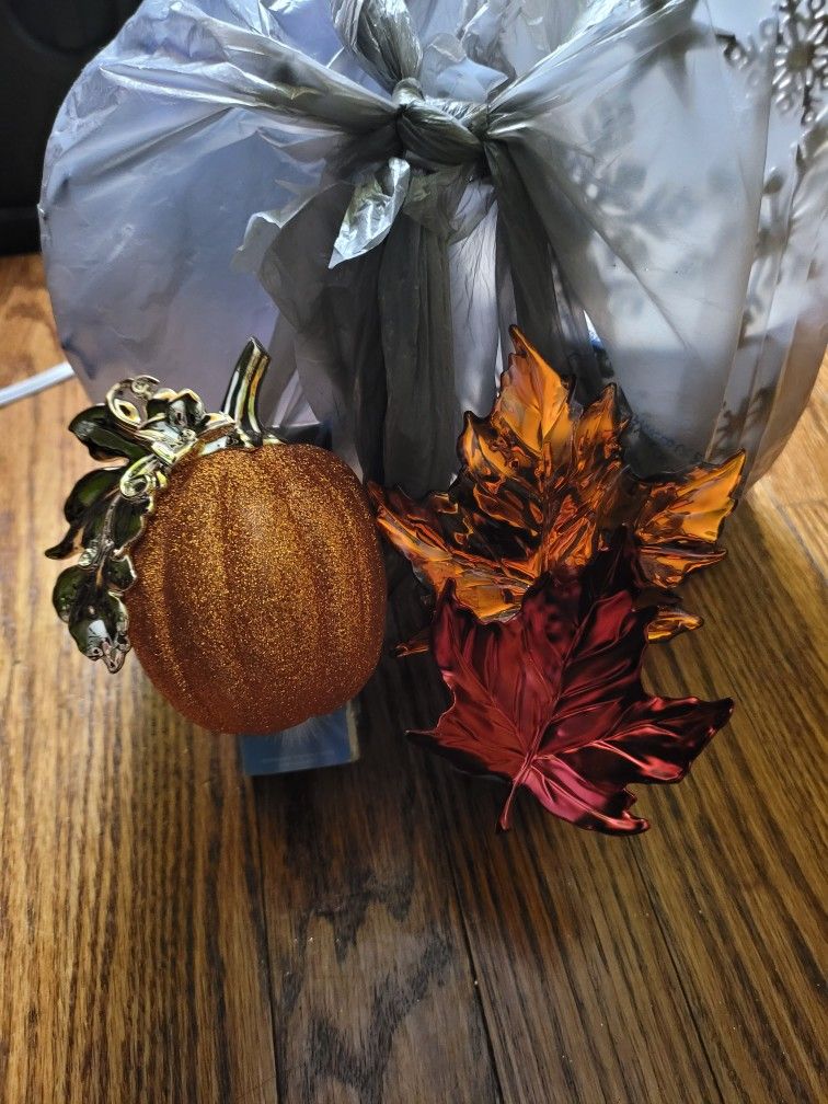 Wallflower Plugs Only 2 Left