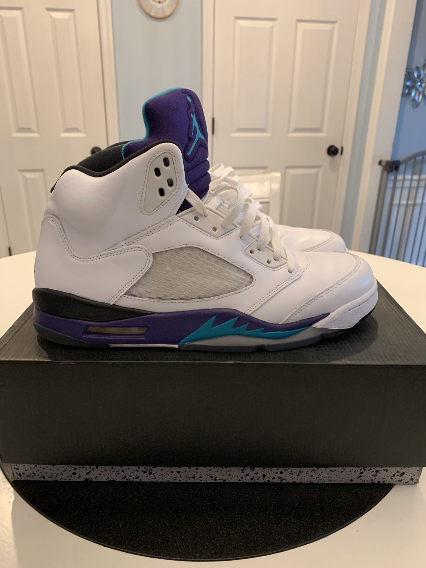 Air Jordan 5 “Grape” Size 12