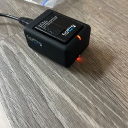 Go Pro Battery And Charger 