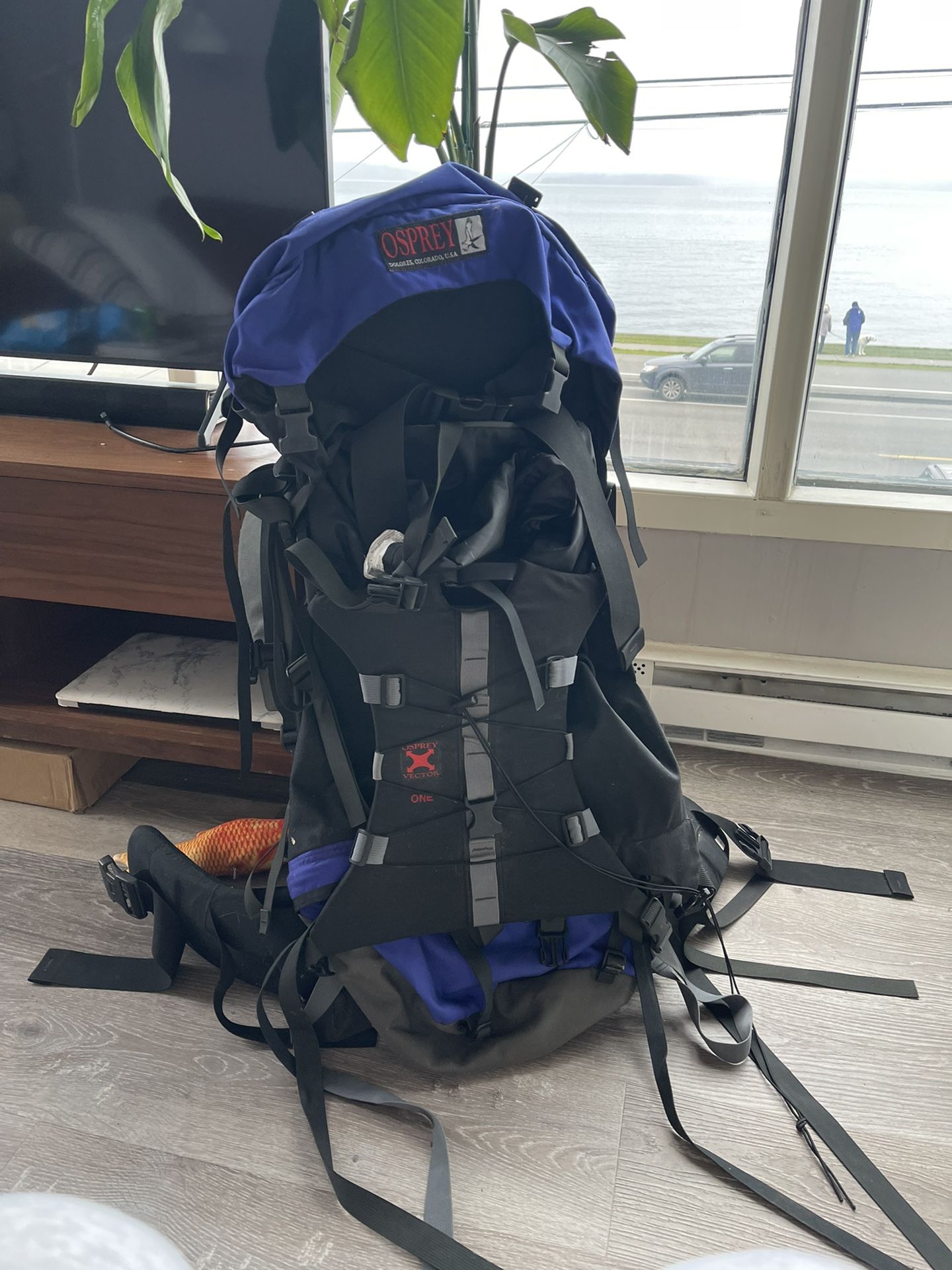Vintage Osprey Backpack 65L
