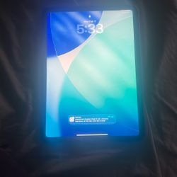 iPad