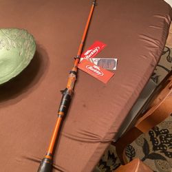 Brand New Berkley Shock Lighting Casting Rod