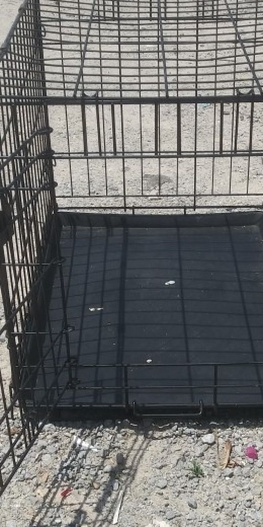 Pet Carrier
