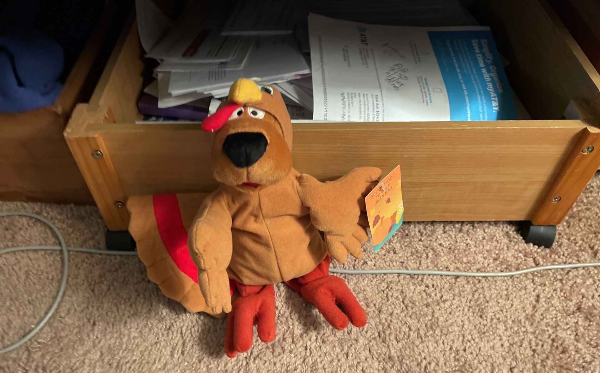 Scooby Doo Turkey Bean Bag