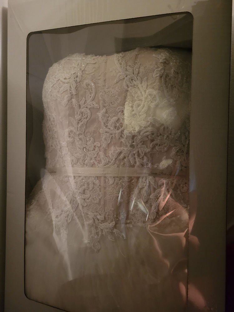  Wedding Dress Designer  