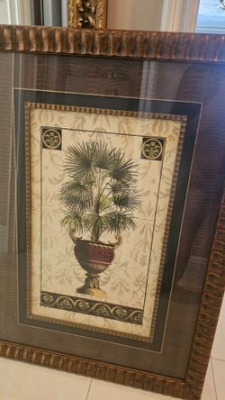 2 pz.Framed Palm Tree Botanical Art Print