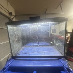 20 Gal Fish Tank