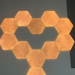 Nanoleaf Expansion panels.