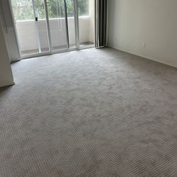 Free Brand New Carpet And Pad