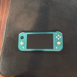 Nintendo Lite 