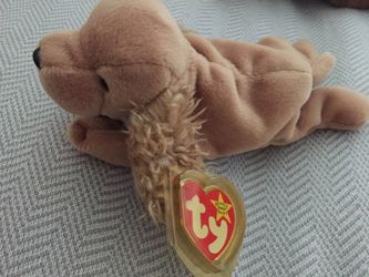 Spunky Beanie Baby Mint